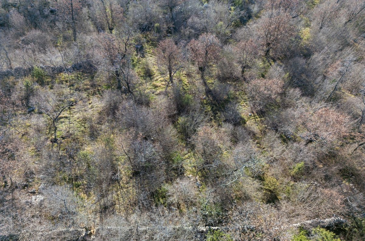 Kmetijsko zemljišće, prodaja, Mesto Krk, Hrvatska, 46116 m2, 350.000,00 EUR