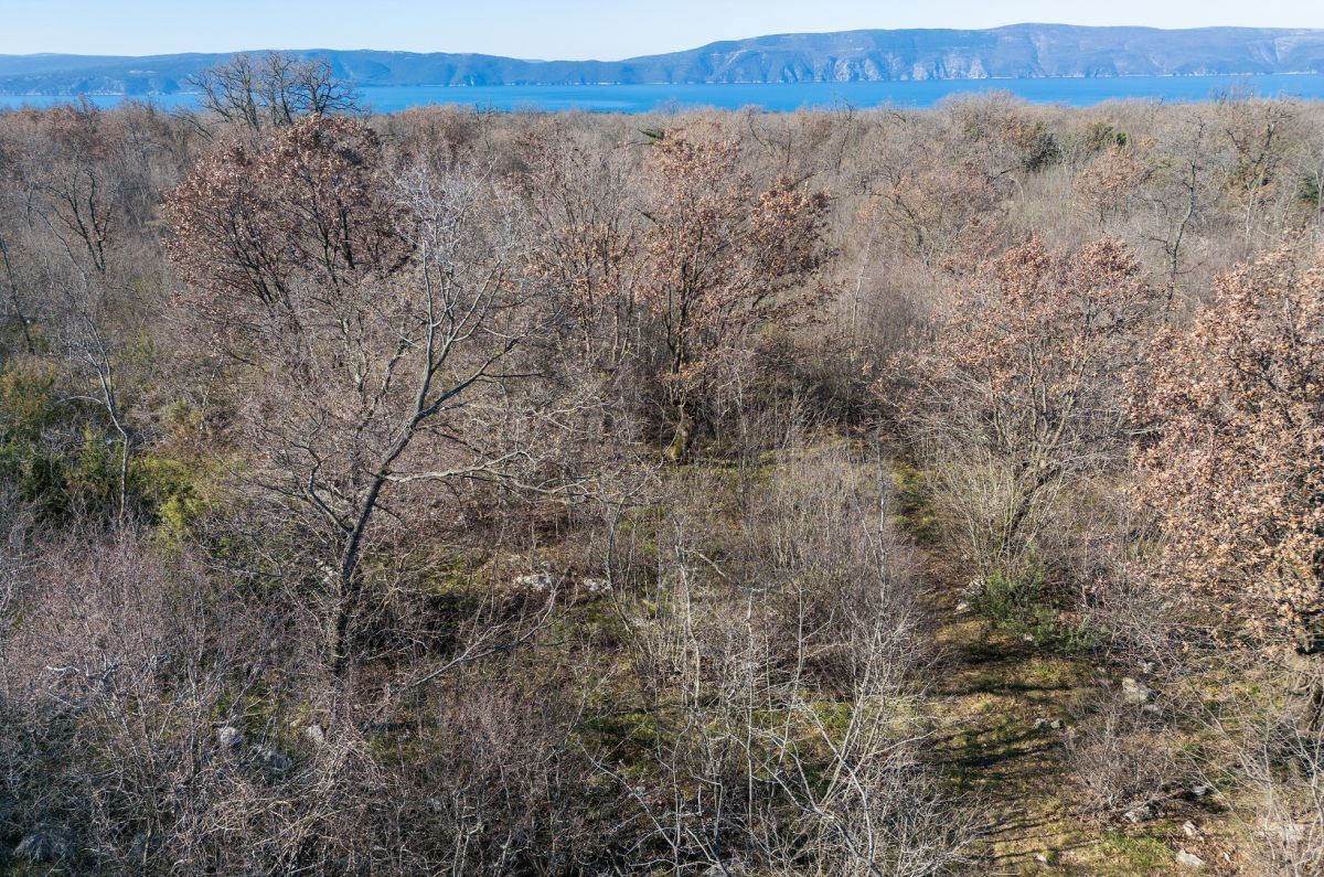 Kmetijsko zemljišće, prodaja, Mesto Krk, Hrvatska, 46116 m2, 365.000,00 EUR