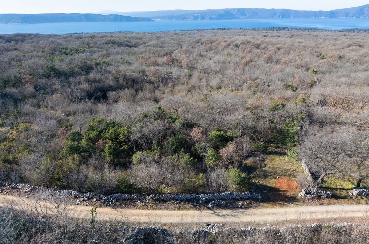 Kmetijsko zemljišće, prodaja, Mesto Krk, Hrvatska, 46116 m2, 365.000,00 EUR