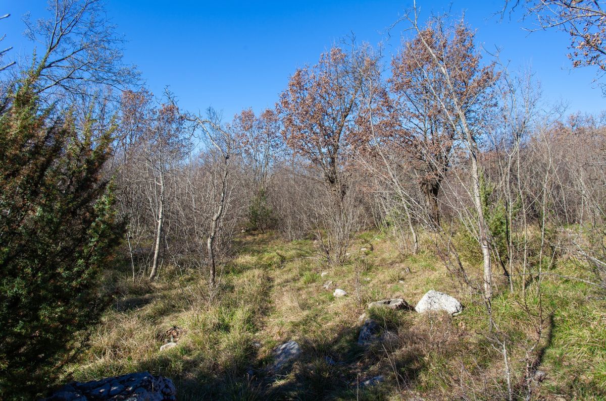 Kmetijsko zemljišće, prodaja, Mesto Krk, Hrvatska, 46116 m2, 350.000,00 EUR