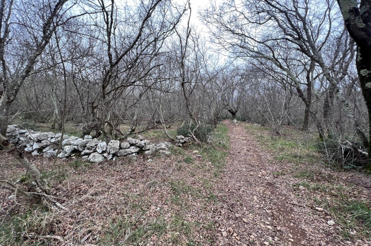 Kmetijsko zemlji&#353;&#263;e, prodaja, Mesto Krk, Hrvatska, 11000 m2, 450.000,00 EUR