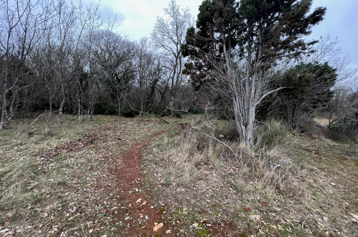 Kmetijsko zemlji&#353;&#263;e, prodaja, Mesto Krk, Hrvatska, 11000 m2, 450.000,00 EUR