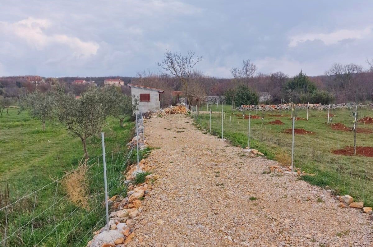 Kmetijsko zemlji&#353;&#263;e, prodaja, Mesto Krk, Hrvatska, 2651 m2, 75.000,00 EUR