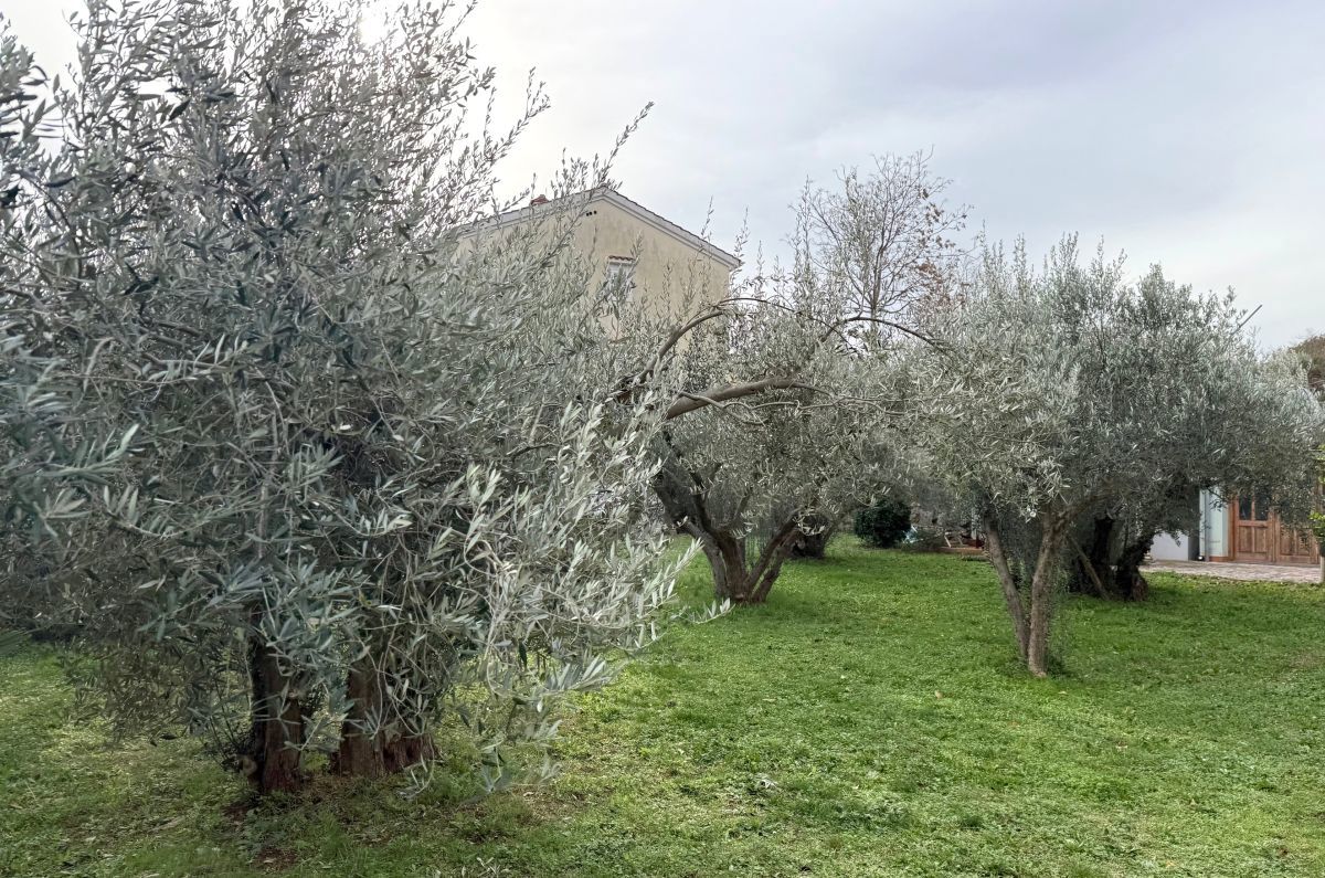 Gradbeno zemlji&#353;&#263;e, prodaja, Mesto Krk, Hrvatska, 630 m2, 395.000,00 EUR