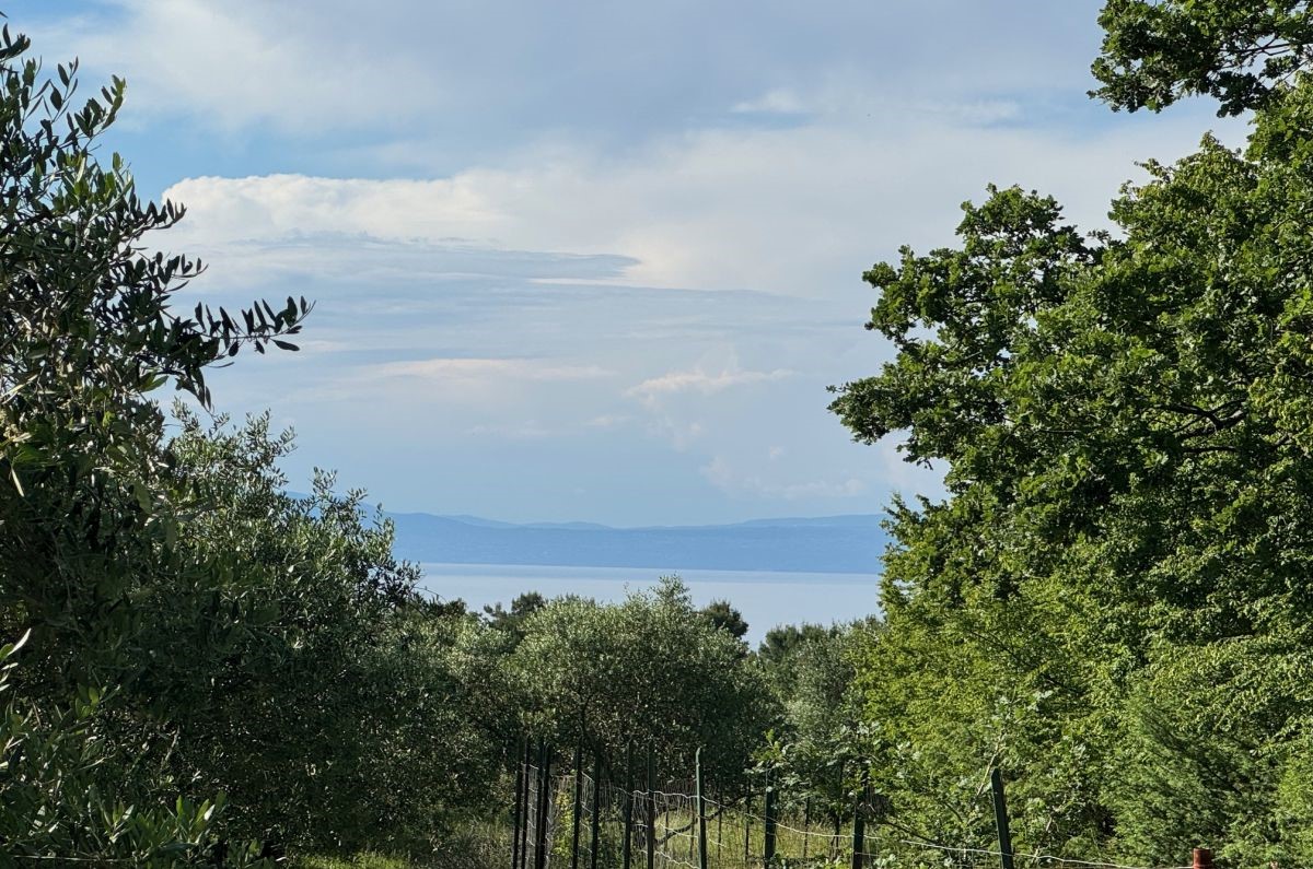 Kmetijsko zemlji&#353;&#263;e, prodaja, Mesto Krk, Hrvatska, 24399 m2, 630.000,00 EUR