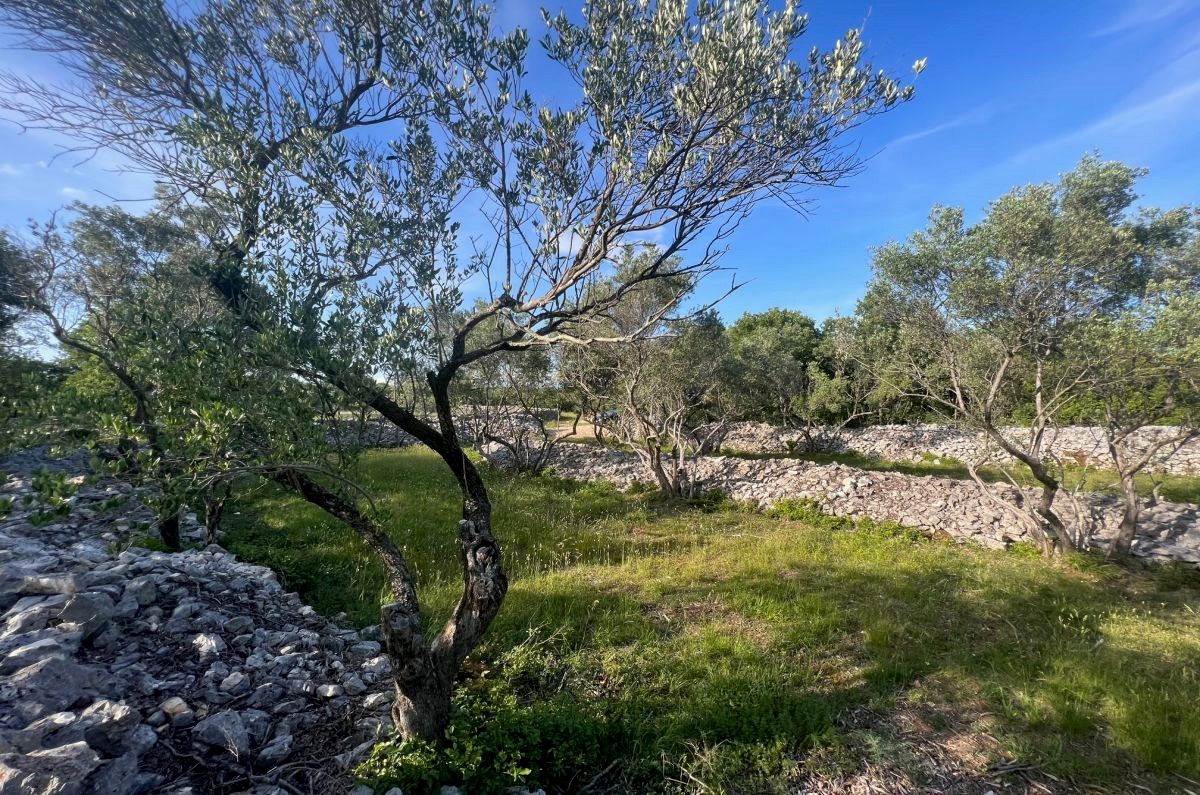 Gradbeno zemlji&#353;&#263;e, prodaja, Vrbnik, Hrvatska, 794 m2, 150.000,00 EUR