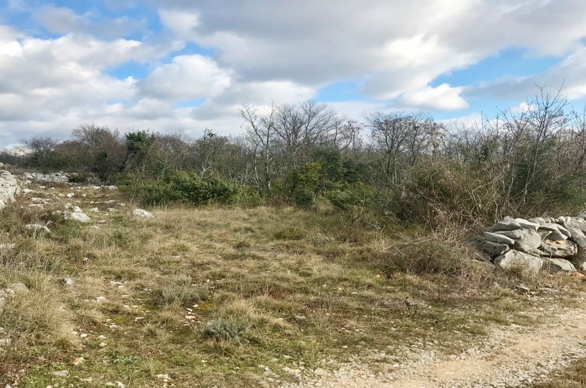 Kmetijsko zemljišće, prodaja, Mesto Krk, Hrvatska, 12500 m2, 110.000,00 EUR