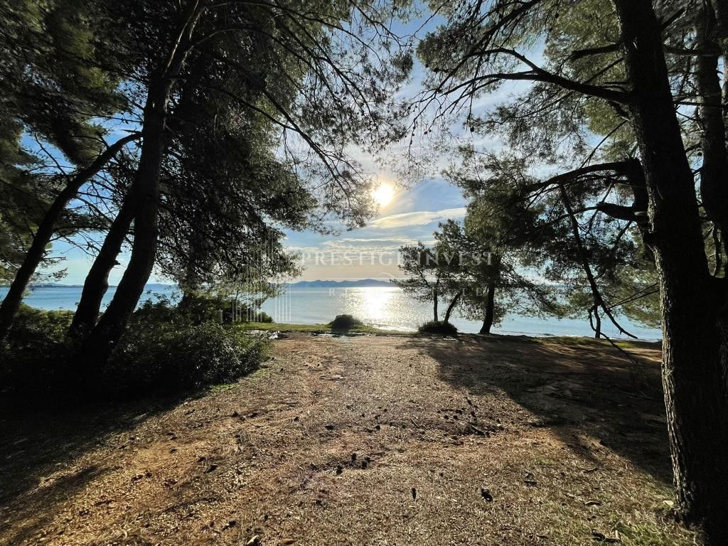 Stanovanje Kožino, Zadar - Okolica, 444,90m2