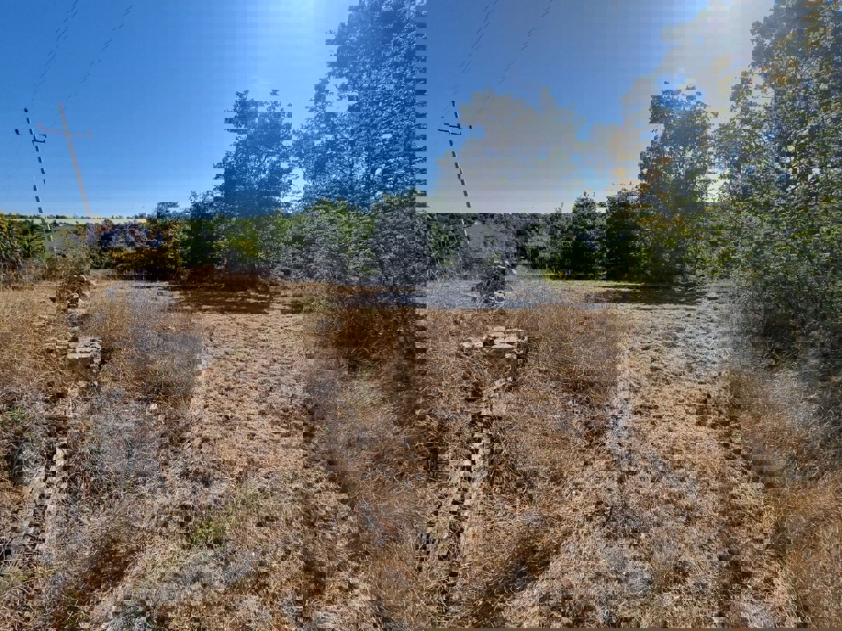 OKOLICA TARA - PRODAJA GRADBENEGA ZEMLJIŠČA Z IDEJNIM PROJEKTOM