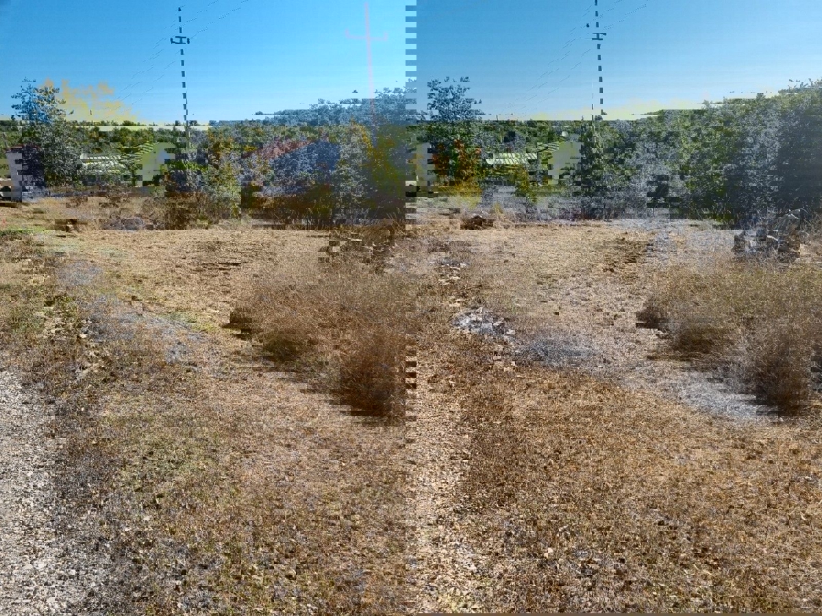 OKOLICA TARA - PRODAJA GRADBENEGA ZEMLJIŠČA Z IDEJNIM PROJEKTOM