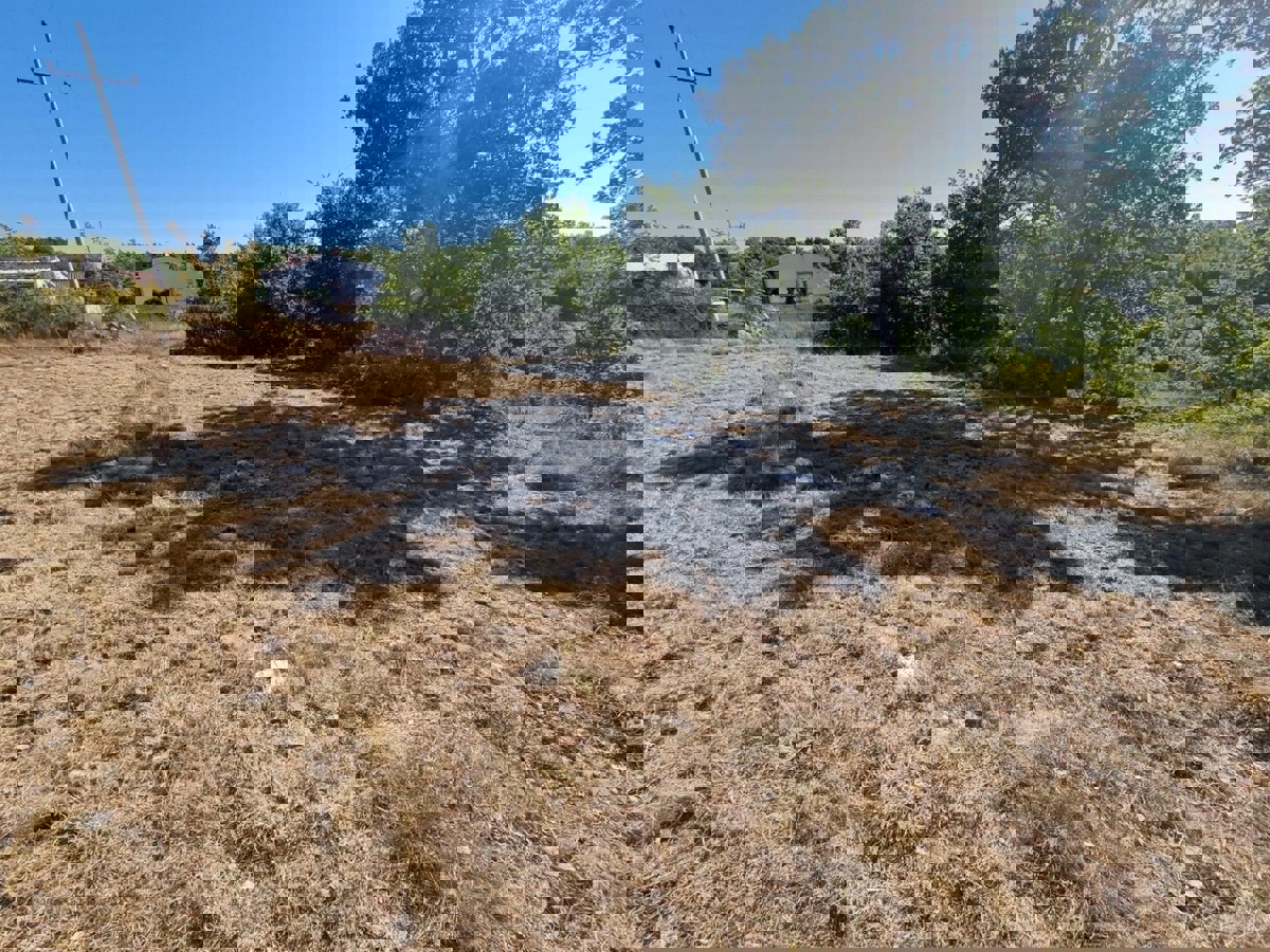 OKOLICA TARA - PRODAJA GRADBENEGA ZEMLJIŠČA Z IDEJNIM PROJEKTOM