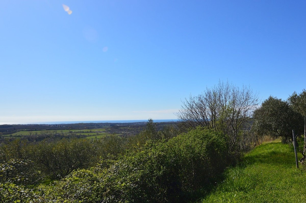 BUJE - ZAZIDLJIVO ZEMLJIŠČE S PANORAMSKIM POGLEDOM NA MORJE