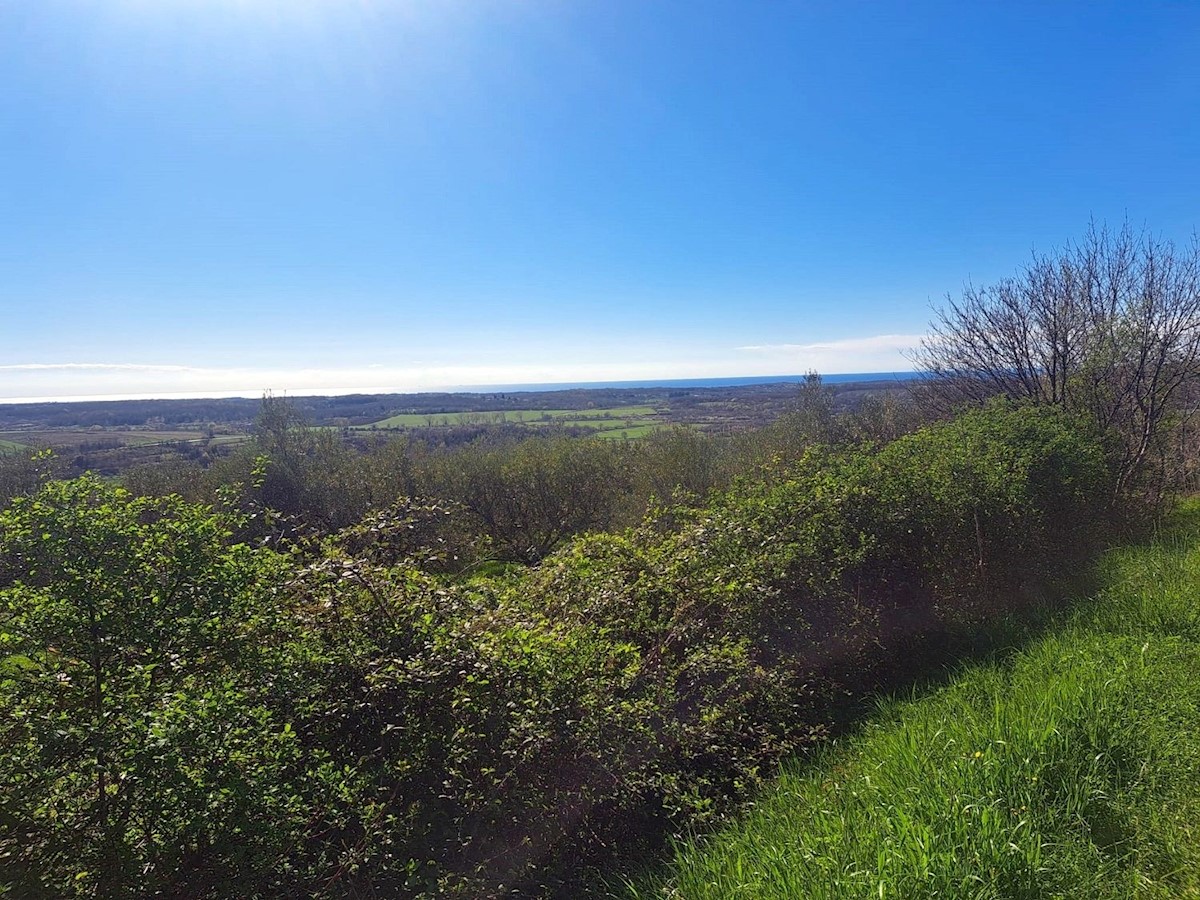 BUJE - ZAZIDLJIVO ZEMLJIŠČE S PANORAMSKIM POGLEDOM NA MORJE