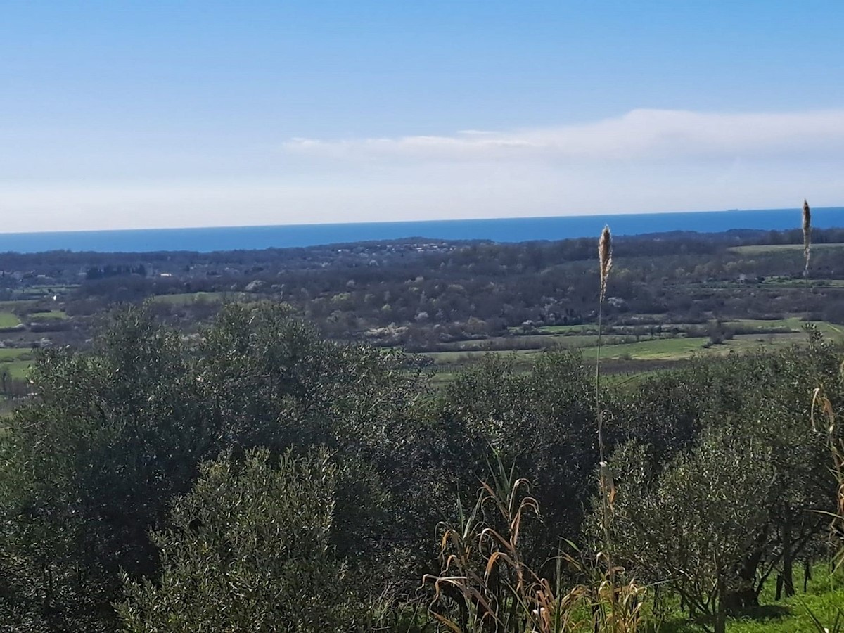 BUJE - ZAZIDLJIVO ZEMLJIŠČE S PANORAMSKIM POGLEDOM NA MORJE