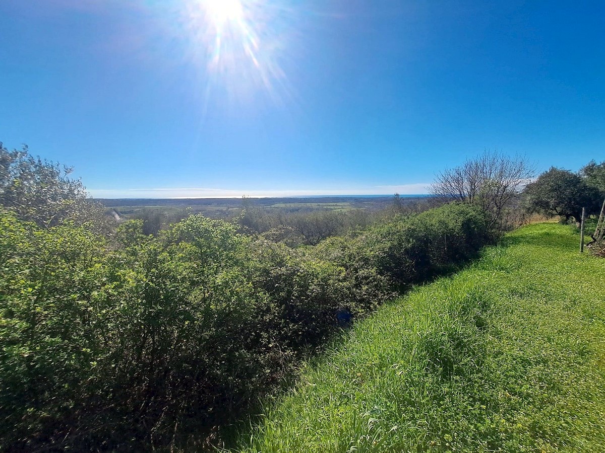 BUJE - ZAZIDLJIVO ZEMLJIŠČE S PANORAMSKIM POGLEDOM NA MORJE