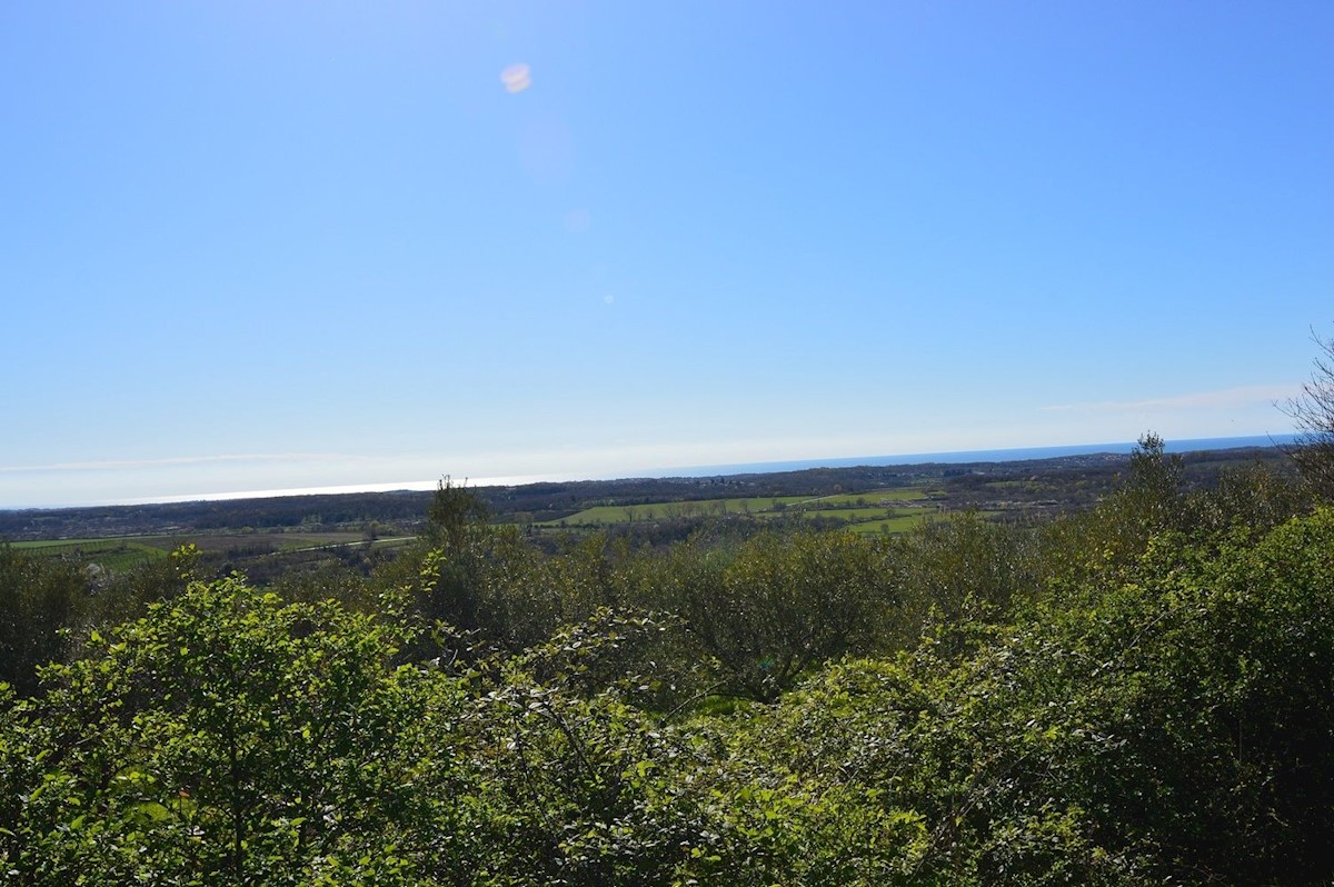 BUJE - ZAZIDLJIVO ZEMLJIŠČE S PANORAMSKIM POGLEDOM NA MORJE