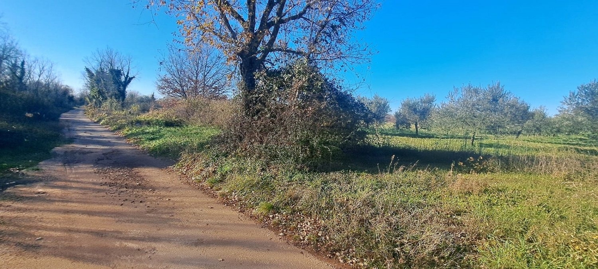 VABRIGA-ZEMLJIŠČE ZA ŠPORT IN REKREACIJO PRODAMO