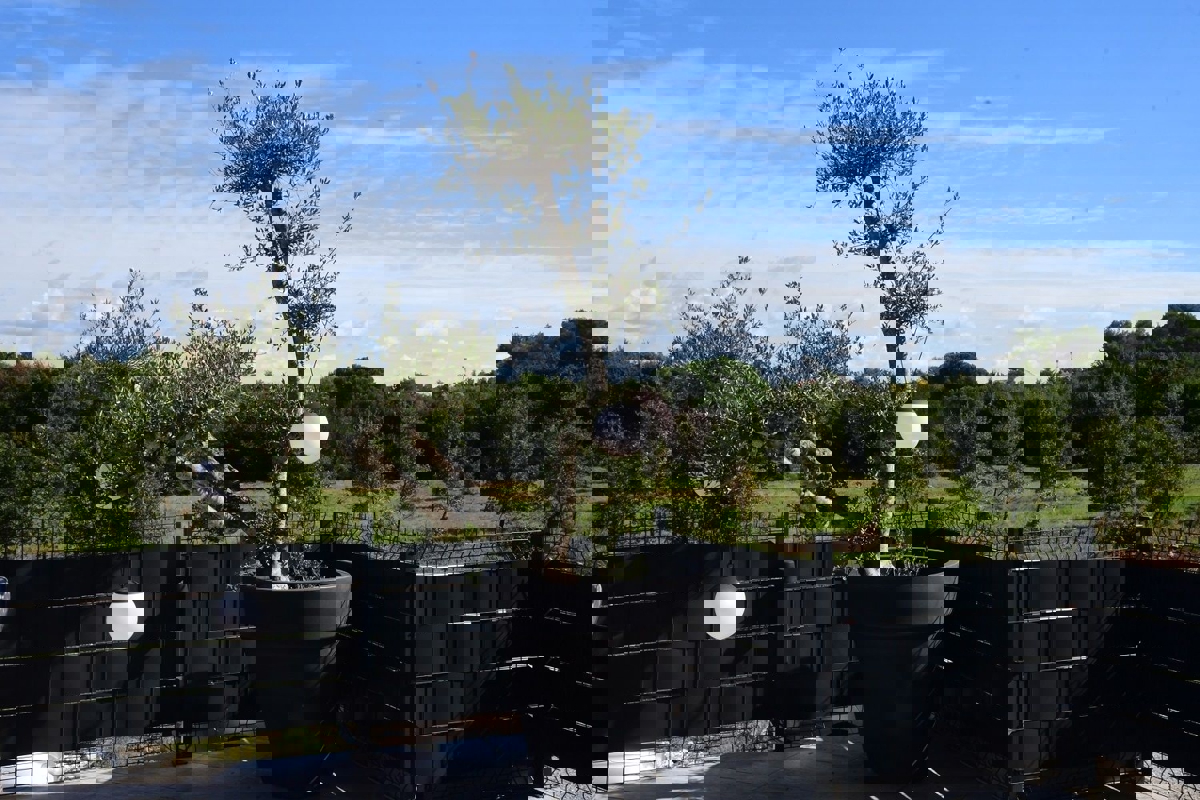 POREČ - PRITLIČNO STANOVANJE Z LASTNIM BAZENOM NAPRODAJ