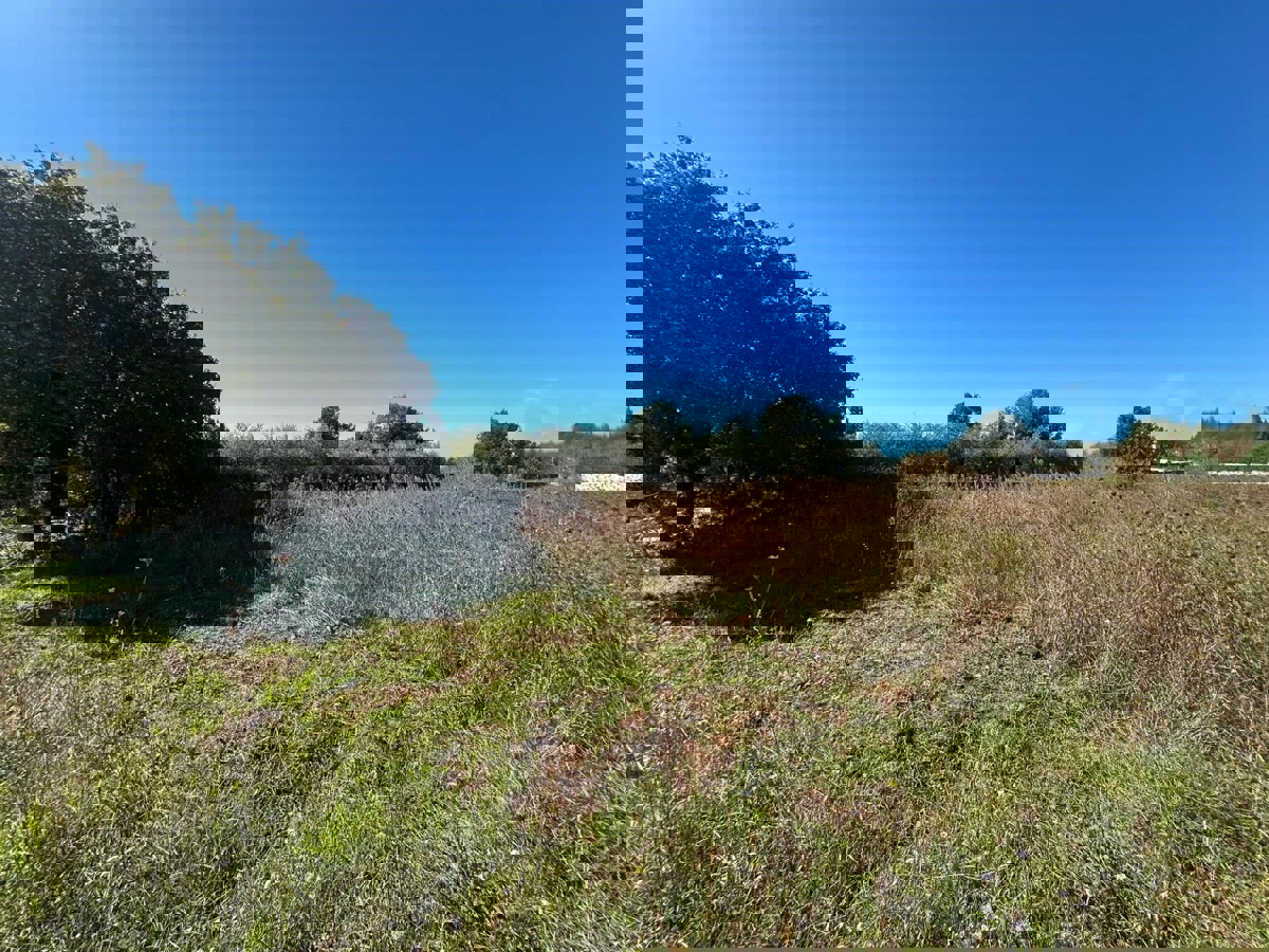 VABRIGA - ZEMLJIŠČE ZA PRODAJO ZA GRADNJO STANOVANJ