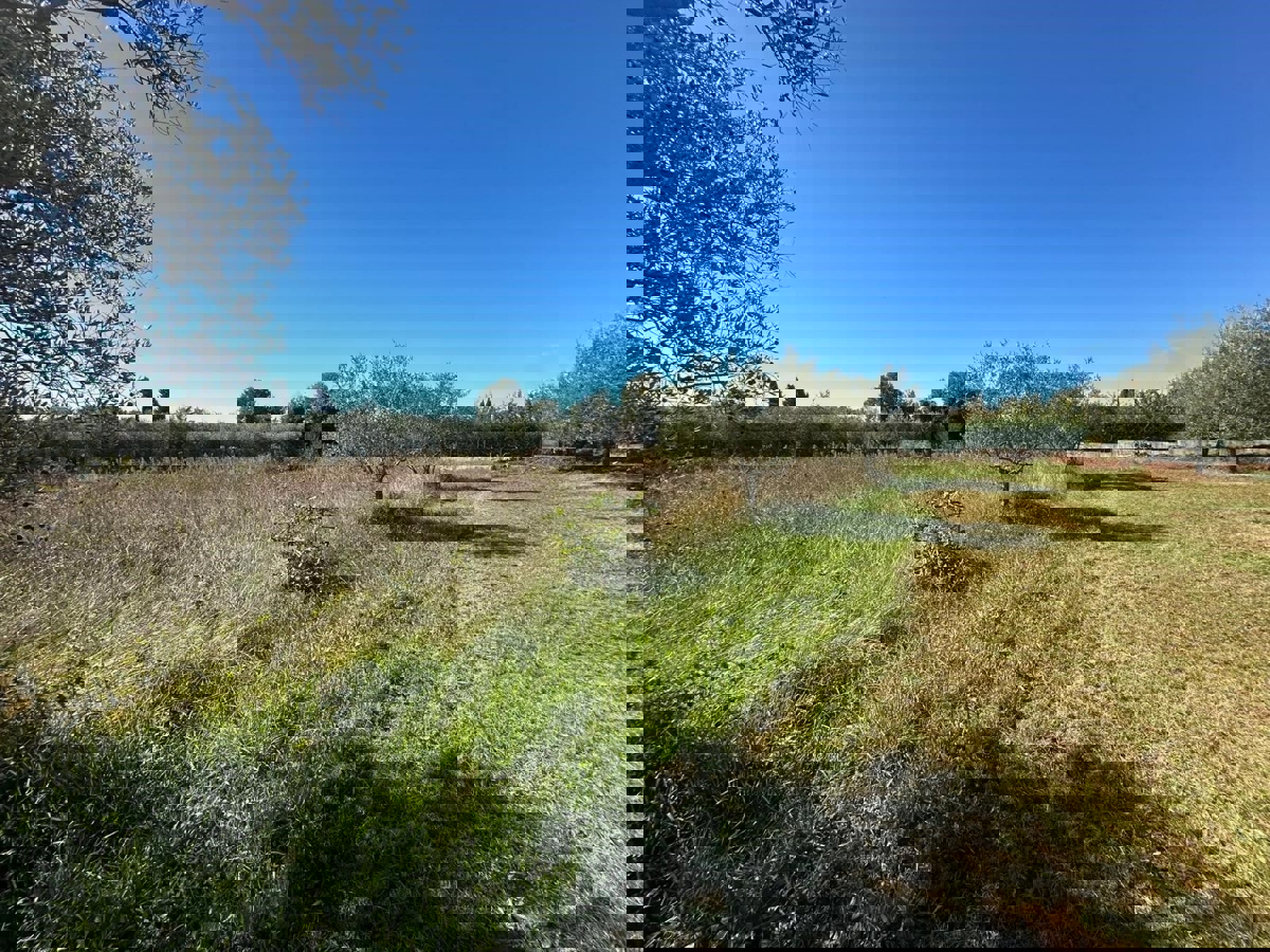 VABRIGA - ZEMLJIŠČE ZA PRODAJO ZA GRADNJO STANOVANJ