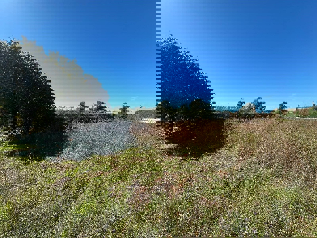 VABRIGA - ZEMLJIŠČE ZA PRODAJO ZA GRADNJO STANOVANJ