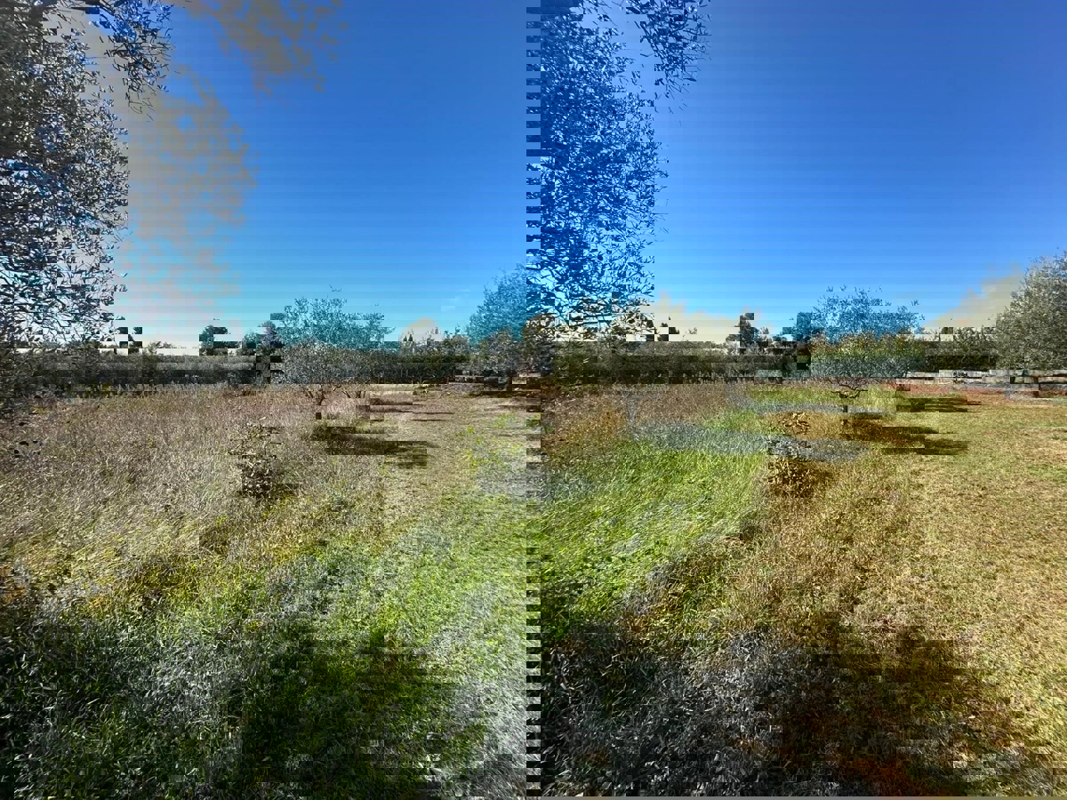 VABRIGA - ZEMLJIŠČE ZA PRODAJO ZA GRADNJO STANOVANJ