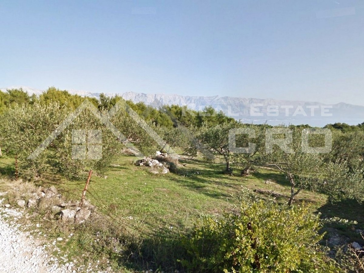 Nepremičnine Brač - Gradbeno zemljišče pravilne oblike na mirni lokaciji v Sumartinu, prodamo