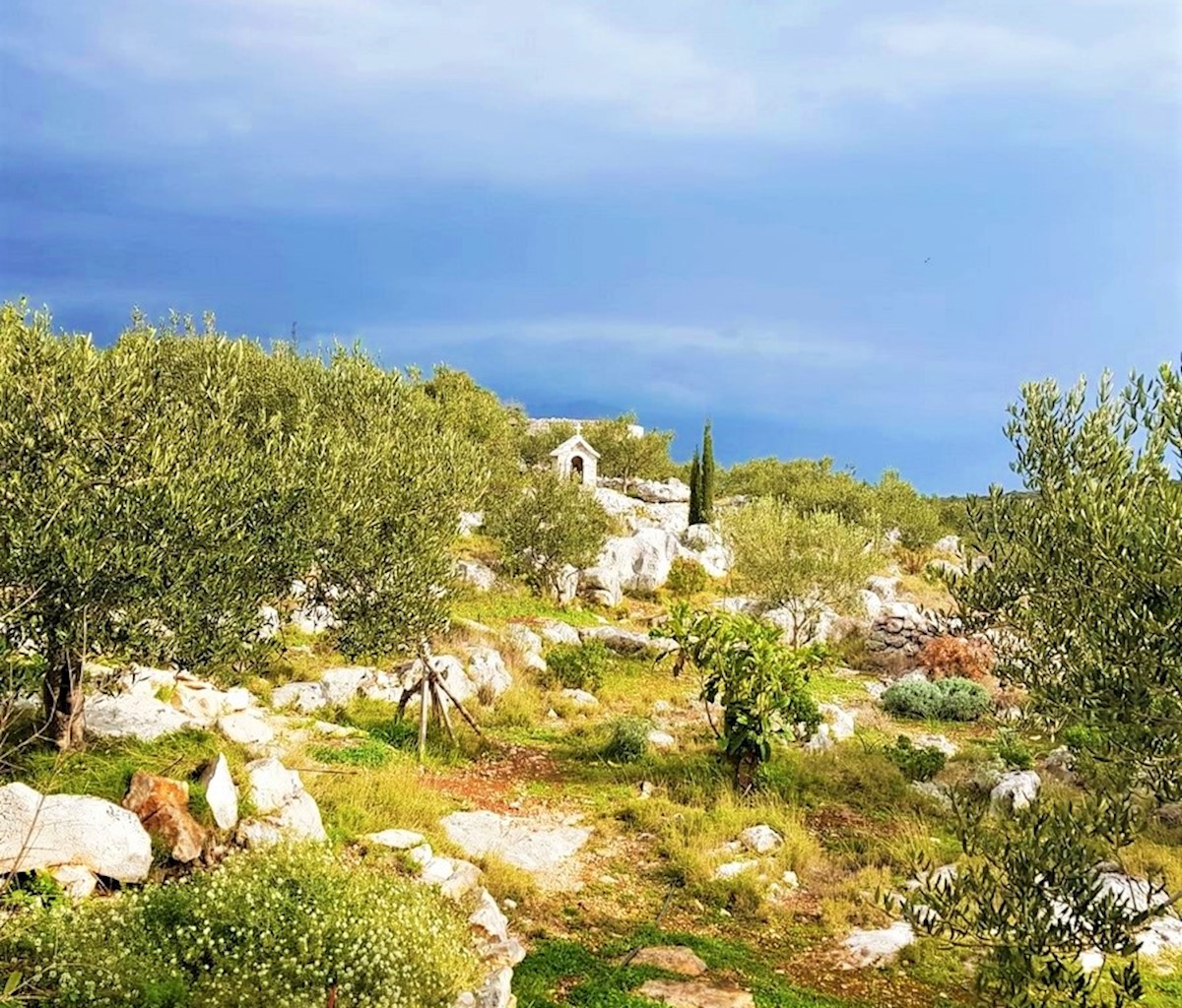 Nepremičnine Brač - Kmetijsko zemljišče s stanovanjsko enoto in prekrasnim pogledom na morje, prodamo