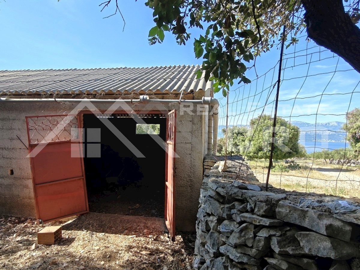 Nepremičnine Brač – Veliko kmetijsko zemljišče s kmečko hišo v Supetarju, prodamo