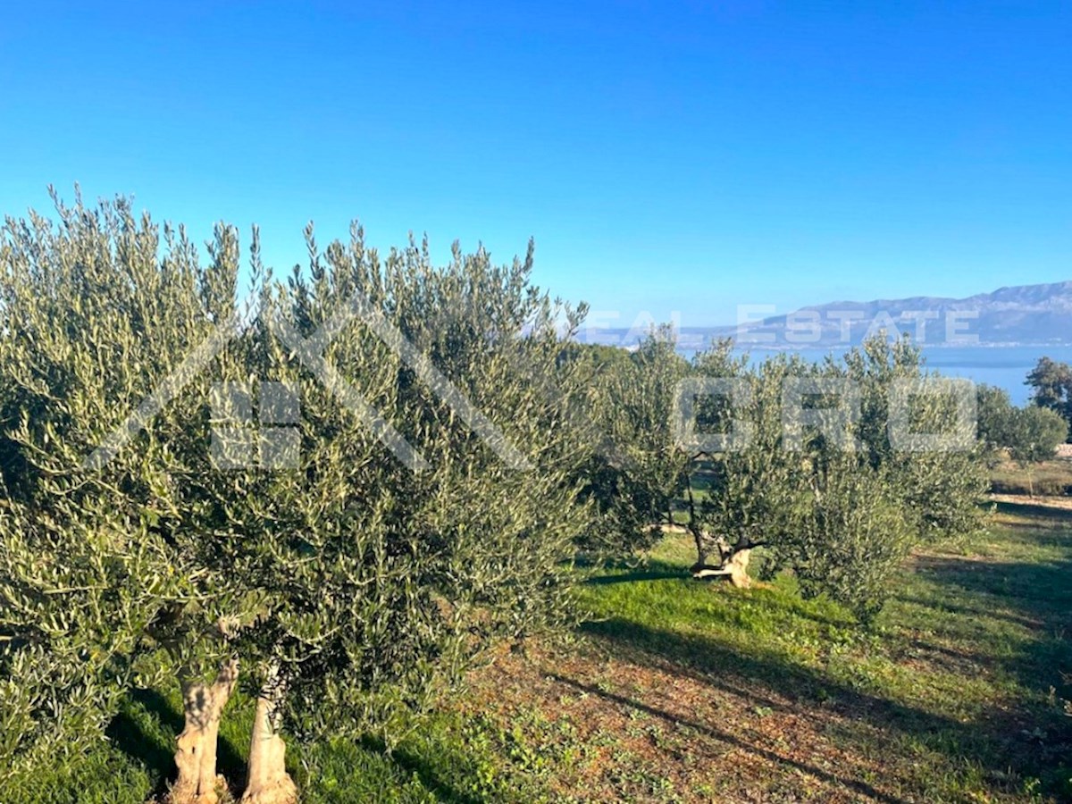 Nepremičnine Brač - Naprodaj čudovita kamnita hiša z bazenom na prostornem mediteranskem posestvu, naprodaj