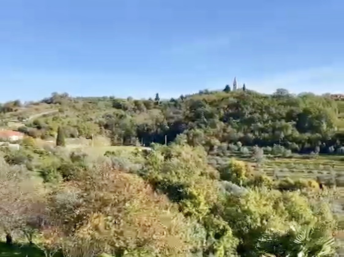 Momjan, izjemna lokacija, vila s bazenom in pogledom na morje