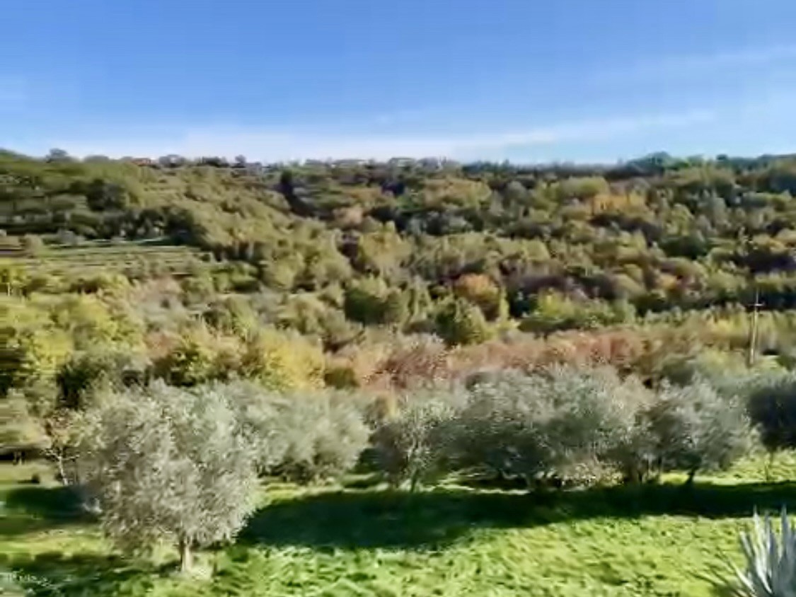 Momjan, izjemna lokacija, vila s bazenom in pogledom na morje