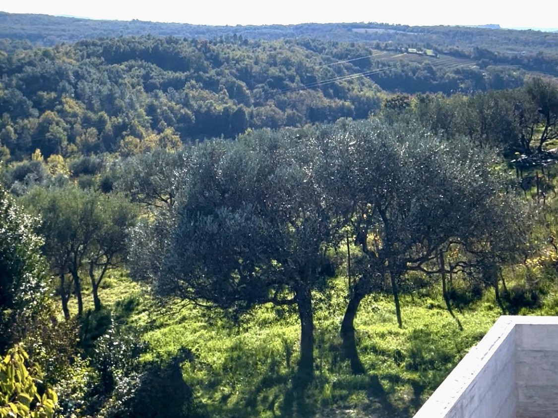 Momjan, izjemna lokacija, vila s bazenom in pogledom na morje