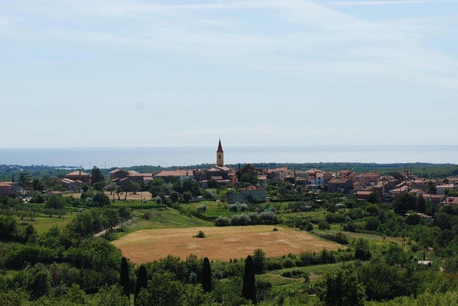 Gradbeno zemljišče 6977 m2 s projektom, Novigrad, Istra