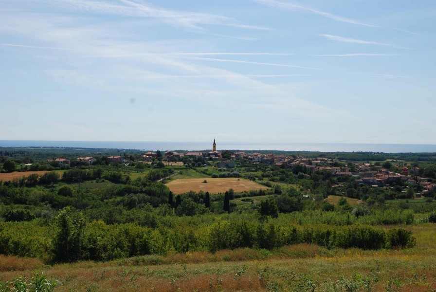 Gradbeno zemljišče 6977 m2 s projektom, Novigrad, Istra