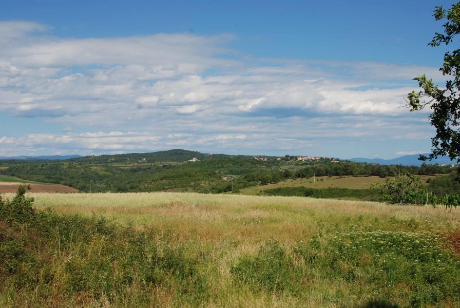 Gradbeno zemljišče 6977 m2 s projektom, Novigrad, Istra