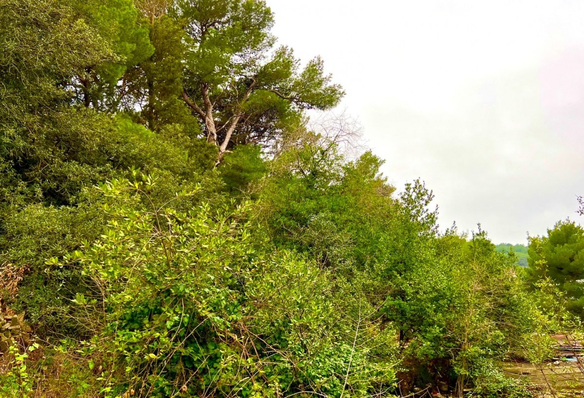 Prva vrsta do morja, v poslovni coni, zazidljivo zemljišče, dva objekta in skladišče Pula, Istra, Hrvaška