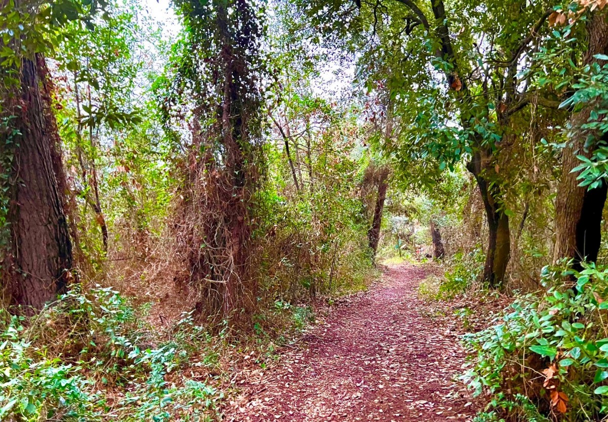 Prva vrsta do morja, v poslovni coni, zazidljivo zemljišče, dva objekta in skladišče Pula, Istra, Hrvaška