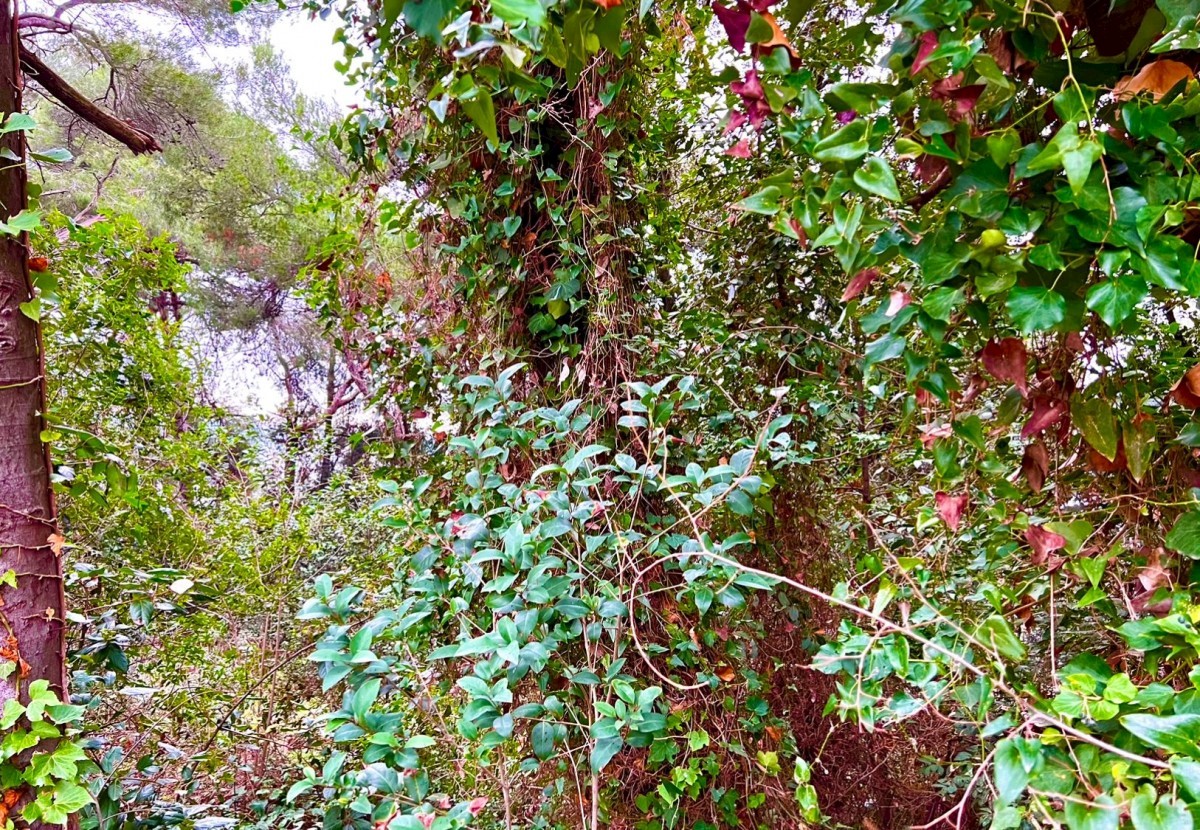 Prva vrsta do morja, v poslovni coni, zazidljivo zemljišče, dva objekta in skladišče Pula, Istra, Hrvaška