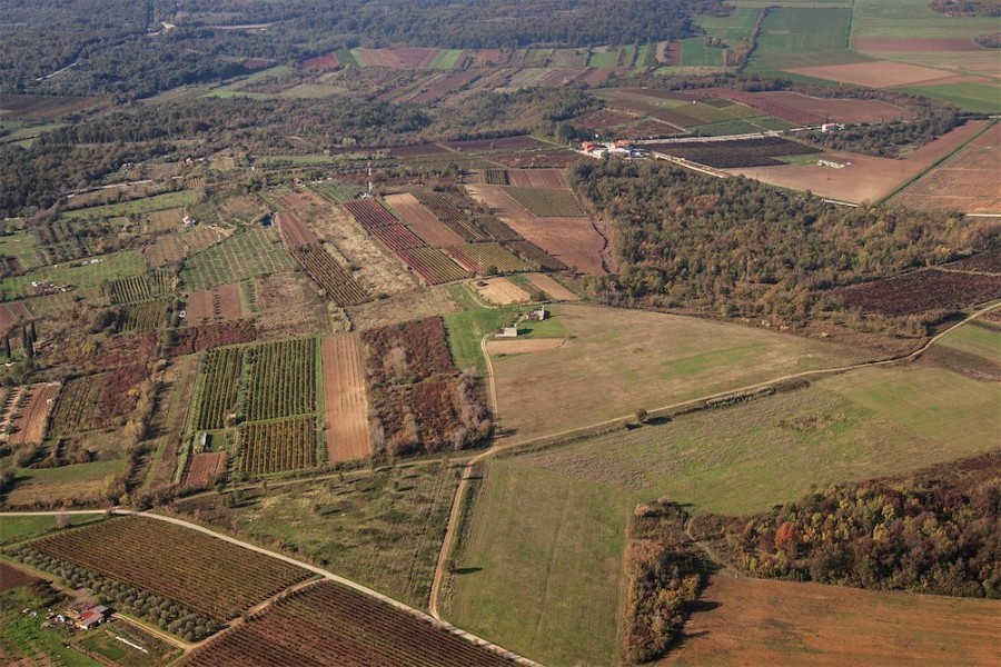 Vila s panoramskim razgledom, Novigrad, Istra