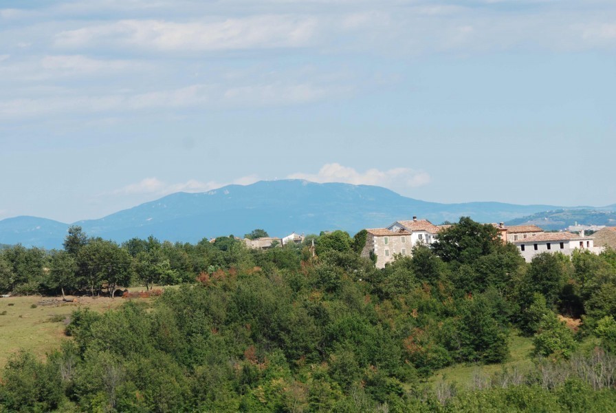 Vila s panoramskim razgledom, Novigrad, Istra