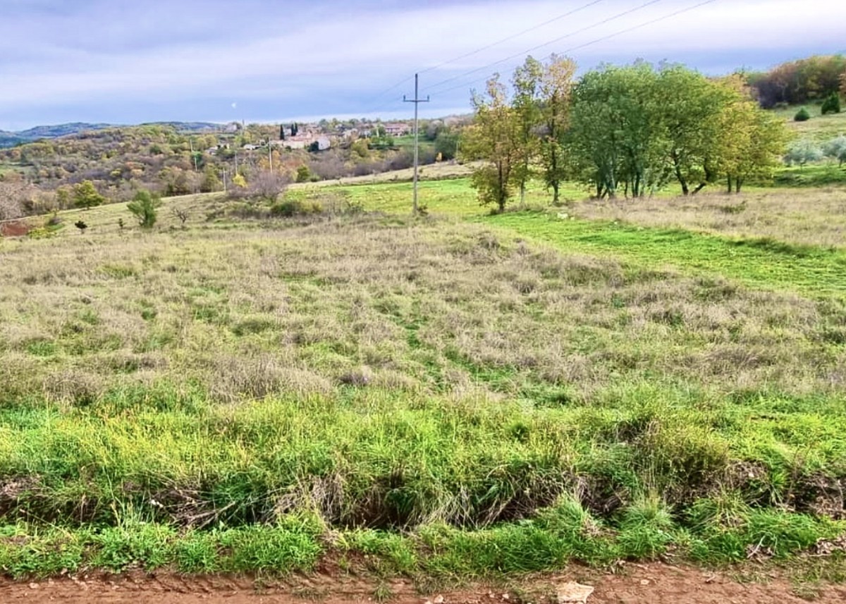 Zazidljivo zemljišče 857 m2 v centru Istre, za gradnjo vile z bazenom, Karojba, Istra