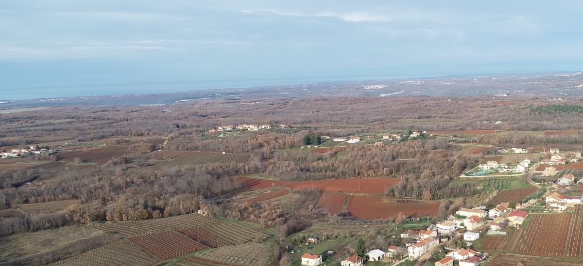 Zemljišče 3910 m2 z vinogradom, v bližini Vizinade, Poreč, Istra