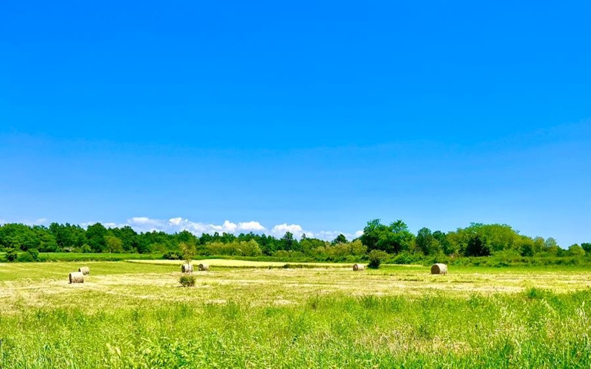 Zemljišče 4500 m2 z gradbenim dovoljenjem za vilo 180 m2, edinstvena priložnost, Barban, Istra, Hrvaška