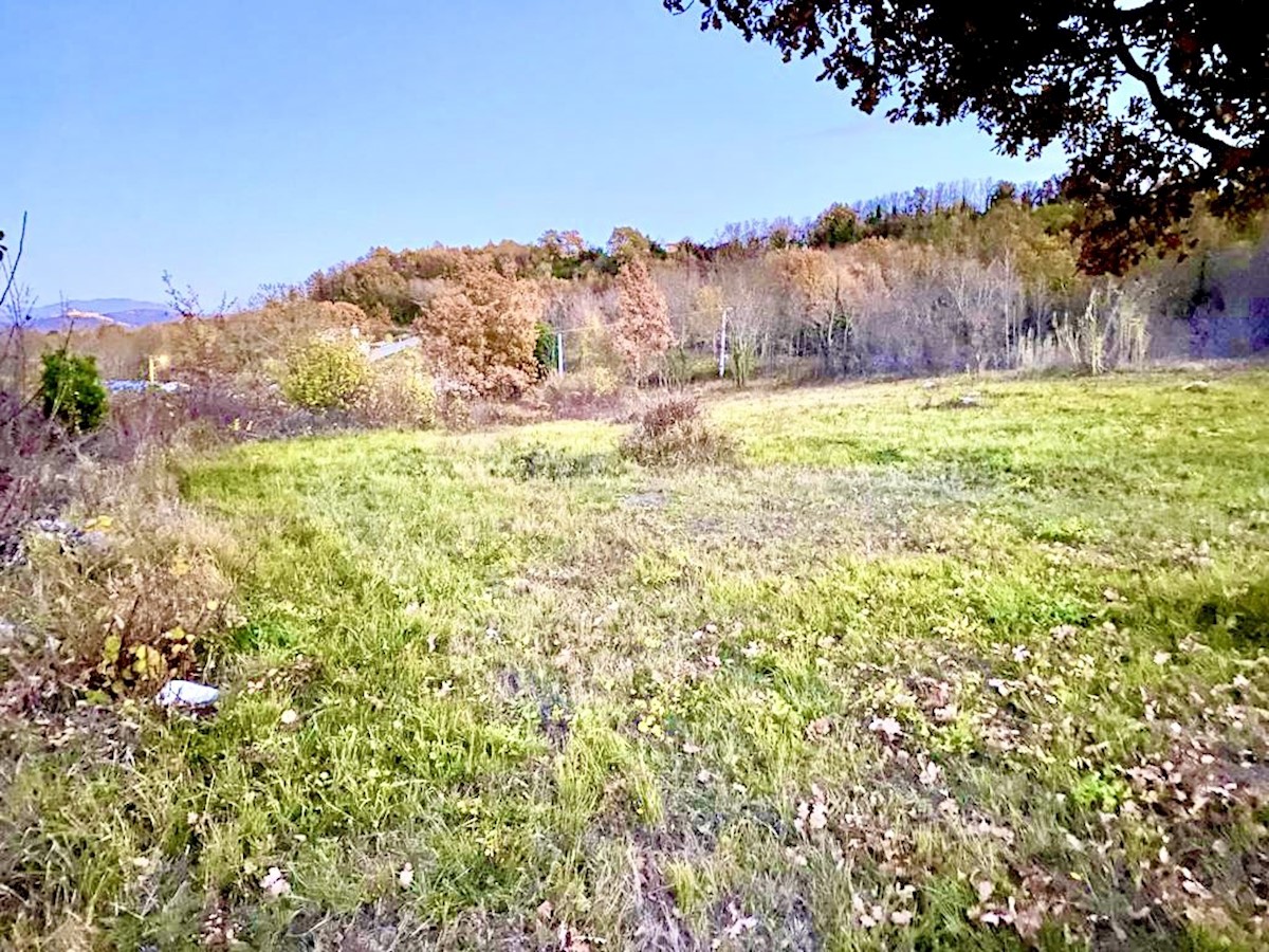 Gradbeno zemljišče za 4 vile z bazenom s pogledom na Motovun, Vižinada