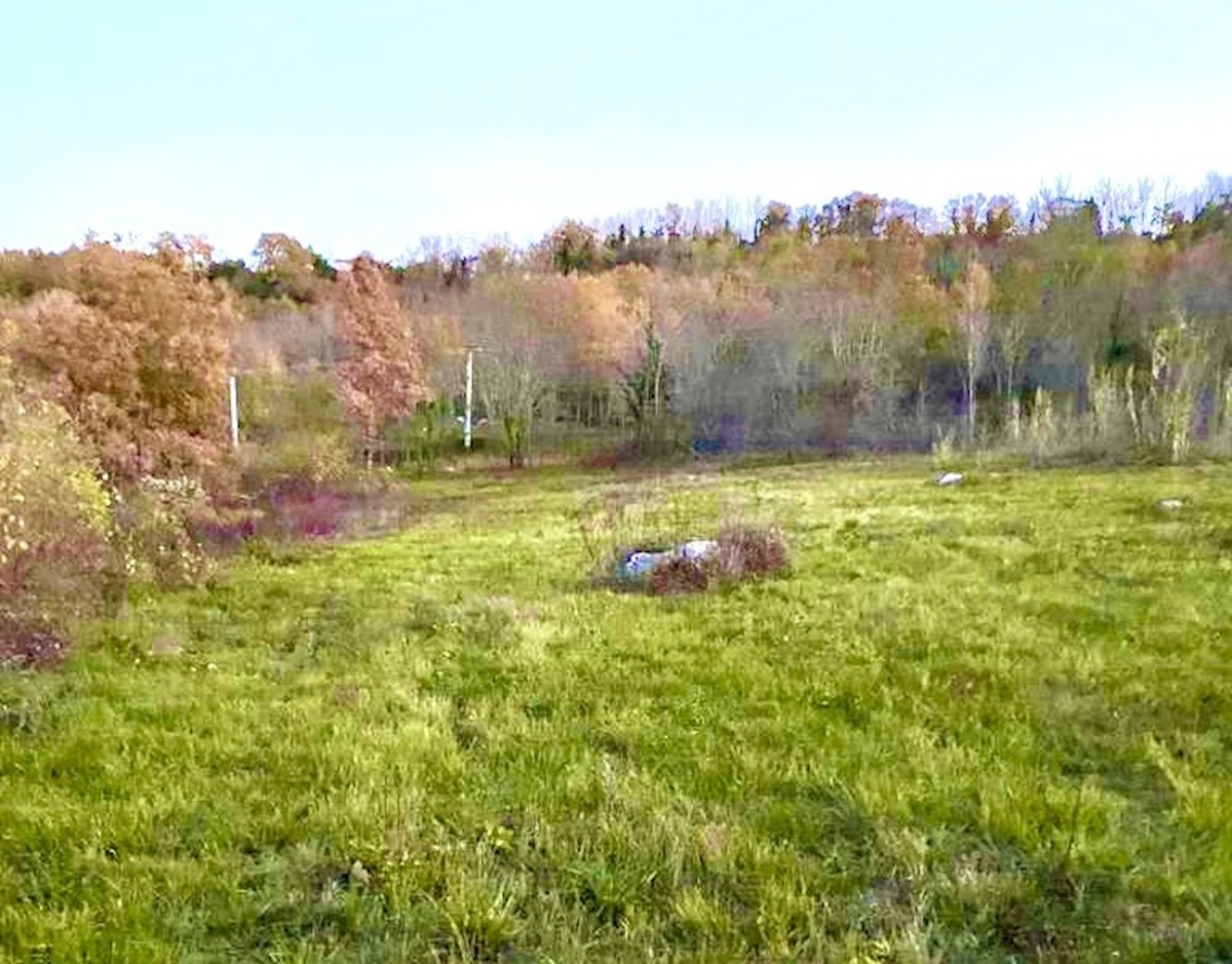 Gradbeno zemljišče za 4 vile z bazenom s pogledom na Motovun, Vižinada