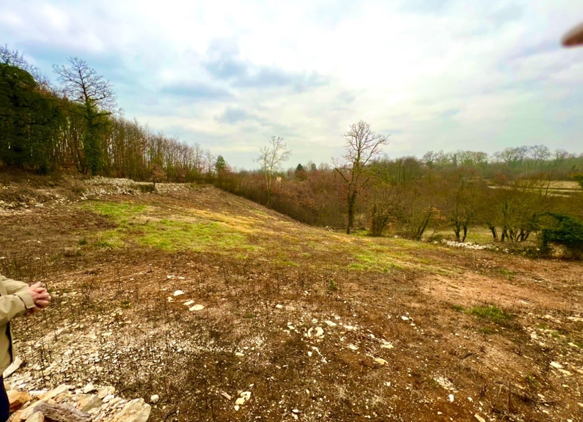 Gradbena parcela s čudovitim razgledom, Režanci, Istra