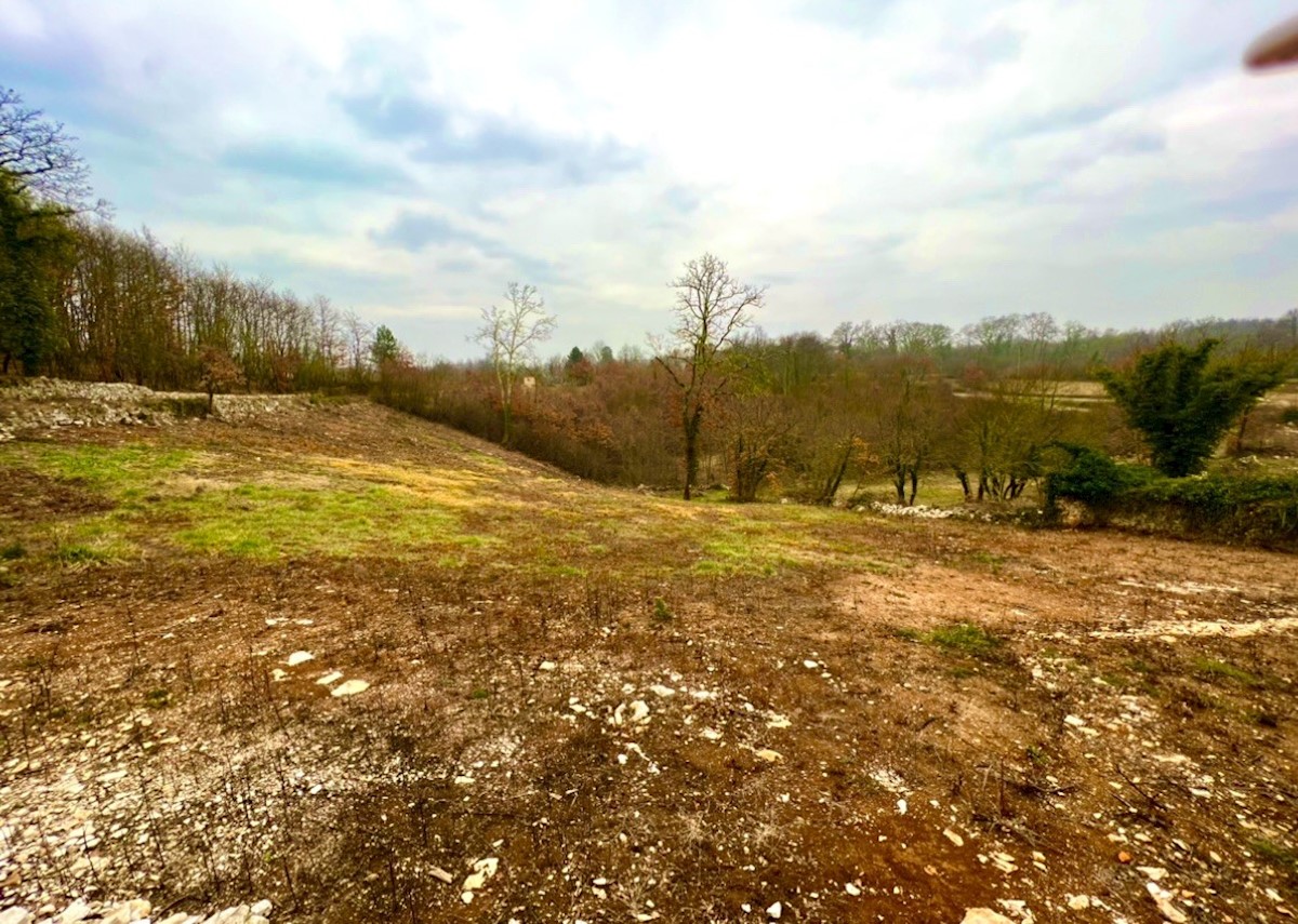 Gradbena parcela s čudovitim razgledom, Režanci, Istra