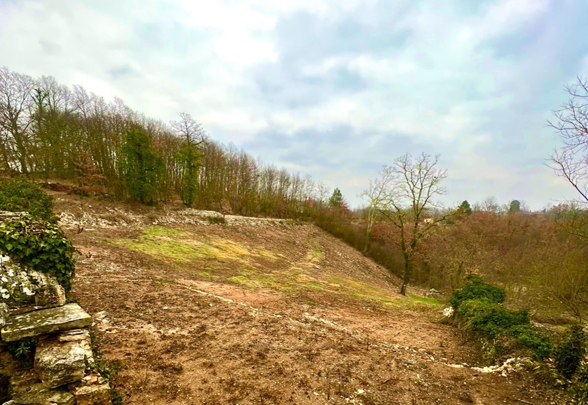 Gradbena parcela s čudovitim razgledom, Režanci, Istra