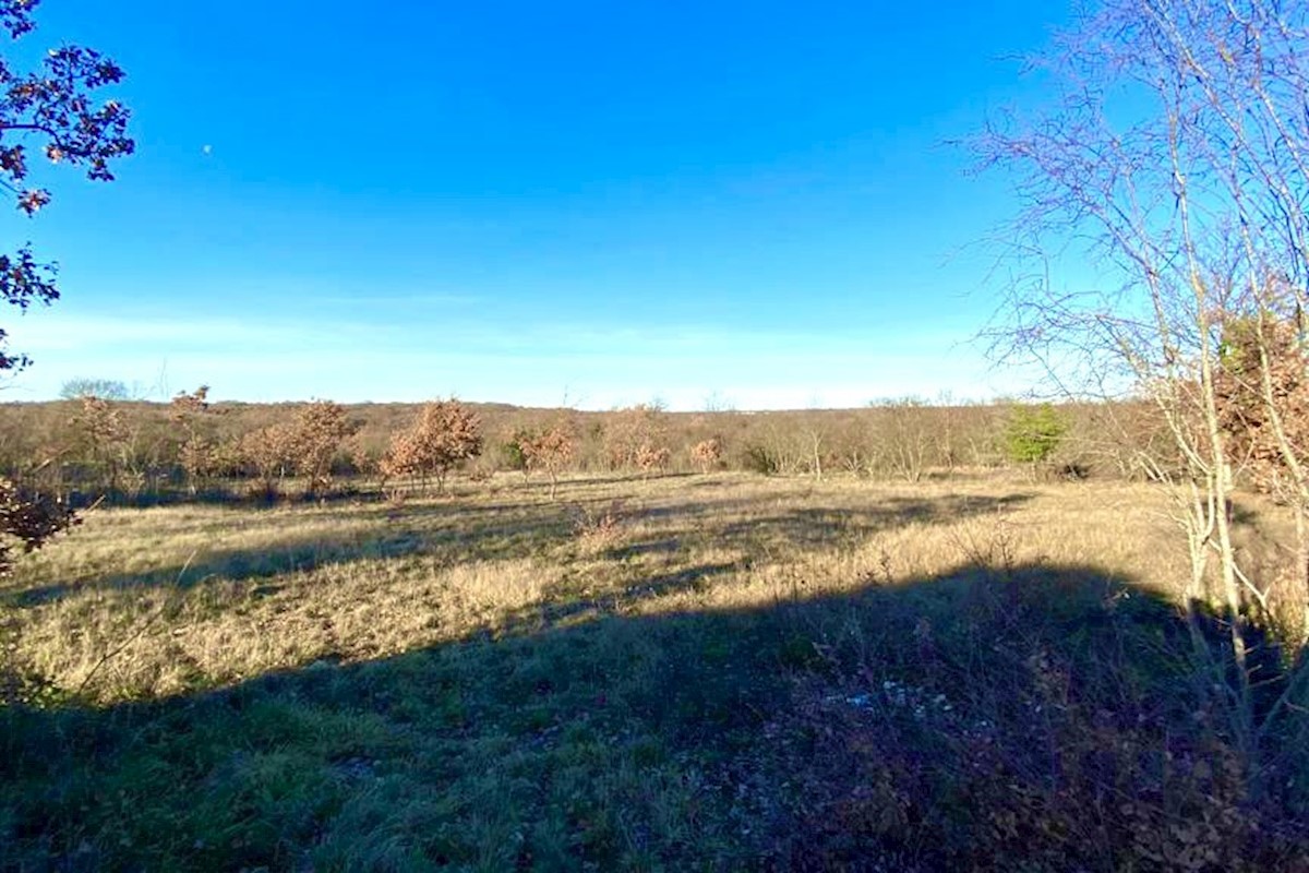 Posestvo, 10000 m2, dve hiši, v srcu Istre, Barban, Istra, Hrvaška